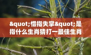 "惜指失掌"是指什么生肖猜打一最佳生肖普及成语落实释义