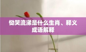 恸哭流涕是什么生肖、释义成语解释