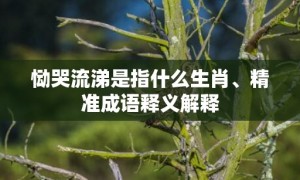 恸哭流涕是指什么生肖、精准成语释义解释