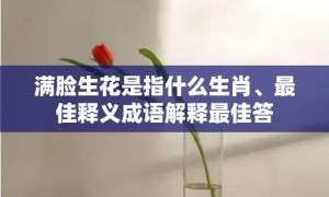 满脸生花是指什么生肖、最佳释义成语解释最佳答