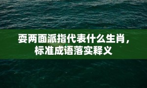 耍两面派指代表什么生肖，标准成语落实释义