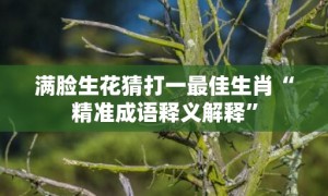 满脸生花猜打一最佳生肖“精准成语释义解释”