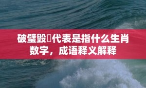 破璧毁珪代表是指什么生肖数字，成语释义解释