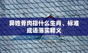 异姓骨肉指什么生肖、标准成语落实释义