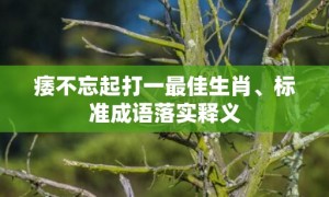 痿不忘起打一最佳生肖、标准成语落实释义