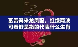 富贵得来龙凤配，红绿两波可看好是指的代表什么生肖，成语释义解释