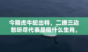 今期虎牛蛇出特，二撩三边愁听尽代表是指什么生肖，精准词语释义落实