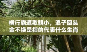 横行霸道欺弱小，浪子回头金不换是指的代表什么生肖，成语释义解释