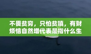 不畏贫穷，只怕贫嗔，有财烦恼自然增代表是指什么生肖，精准词语释义落实