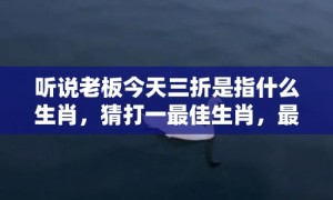 听说老板今天三折是指什么生肖，猜打一最佳生肖，最佳释义成语解释最佳答