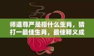 师道尊严是指什么生肖，猜打一最佳生肖，最佳释义成语解释最佳答