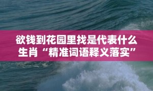 欲钱到花园里找是代表什么生肖“精准词语释义落实”