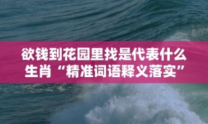 欲钱到花园里找是代表什么生肖“精准词语释义落实”