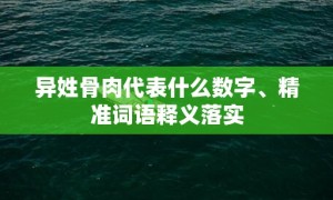 异姓骨肉代表什么数字、精准词语释义落实