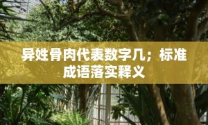 异姓骨肉代表数字几；标准成语落实释义