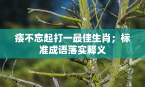 痿不忘起打一最佳生肖；标准成语落实释义