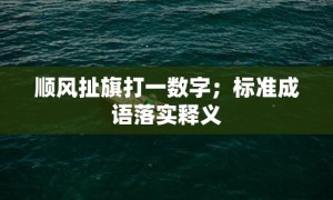 顺风扯旗打一数字；标准成语落实释义