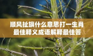 顺风扯旗什么意思打一生肖 最佳释义成语解释最佳答