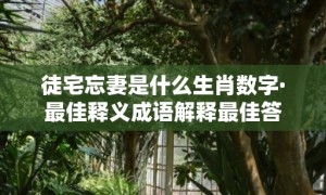 徒宅忘妻是什么生肖数字·最佳释义成语解释最佳答