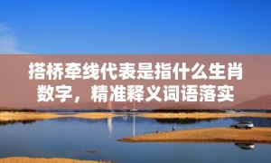 搭桥牵线代表是指什么生肖数字，精准释义词语落实