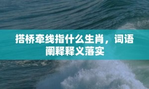 搭桥牵线指什么生肖，词语阐释释义落实