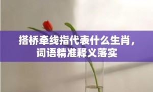 搭桥牵线指代表什么生肖，词语精准释义落实