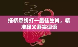 搭桥牵线打一最佳生肖，精准释义落实词语