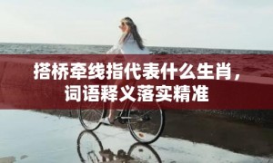 搭桥牵线指代表什么生肖，词语释义落实精准