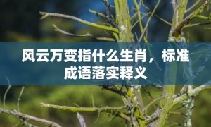 风云万变指什么生肖，标准成语落实释义