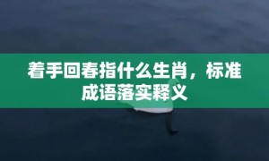 着手回春指什么生肖，标准成语落实释义