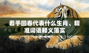 着手回春代表什么生肖、精准词语释义落实