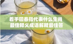 着手回春指代表什么生肖 最佳释义成语解释最佳答