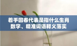 着手回春代表是指什么生肖数字、精准词语释义落实