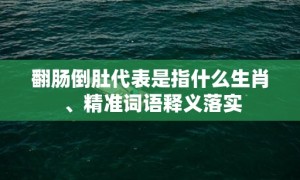 翻肠倒肚代表是指什么生肖 、精准词语释义落实