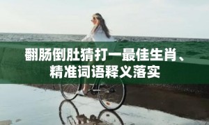 翻肠倒肚猜打一最佳生肖、精准词语释义落实