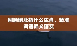 翻肠倒肚指什么生肖、精准词语释义落实