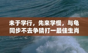 未于学行，先来学慢，与龟同步不去争猜打一最佳生肖是什么动物"精准词语释义落实"