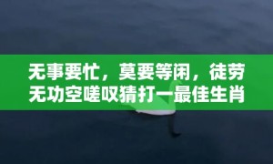 无事要忙，莫要等闲，徒劳无功空嗟叹猜打一最佳生肖是什么动物“精准词语释义落实“