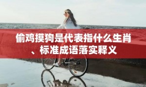 偷鸡摸狗是代表指什么生肖、标准成语落实释义