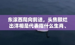 东滚西爬向前进，头焦额烂出洋相是代表指什么生肖、标准成语落实释义