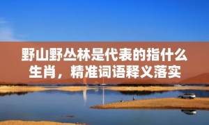 野山野丛林是代表的指什么生肖，精准词语释义落实