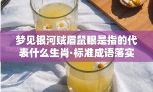 梦见银河贼眉鼠眼是指的代表什么生肖·标准成语落实释义