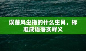 误落风尘指的什么生肖，标准成语落实释义