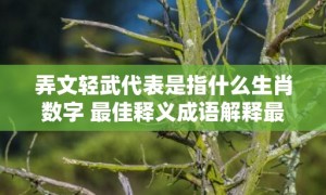 弄文轻武代表是指什么生肖数字 最佳释义成语解释最佳答