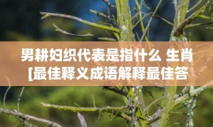 男耕妇织代表是指什么 生肖 [最佳释义成语解释最佳答]