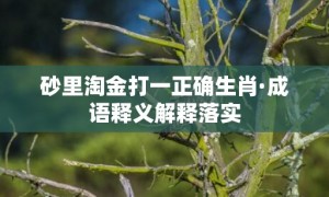 砂里淘金打一正确生肖·成语释义解释落实