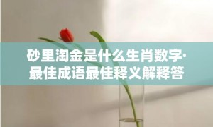 砂里淘金是什么生肖数字·最佳成语最佳释义解释答