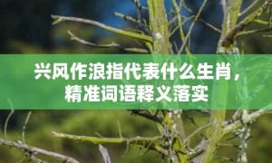 兴风作浪指代表什么生肖，精准词语释义落实