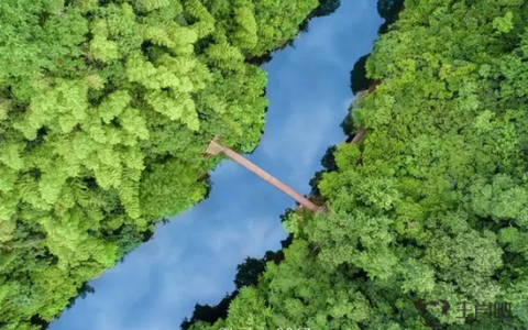 酷暑时节觅清凉 走进避暑胜地醉山野