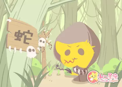 在生活中总是追求完美 做到最好的生肖 在生活中总是追求完美 做到最好的生肖